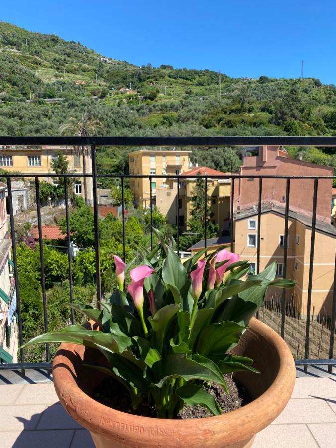 La Terrazza Di Monterosso Apartment Monterosso al Mare Ngoại thất bức ảnh