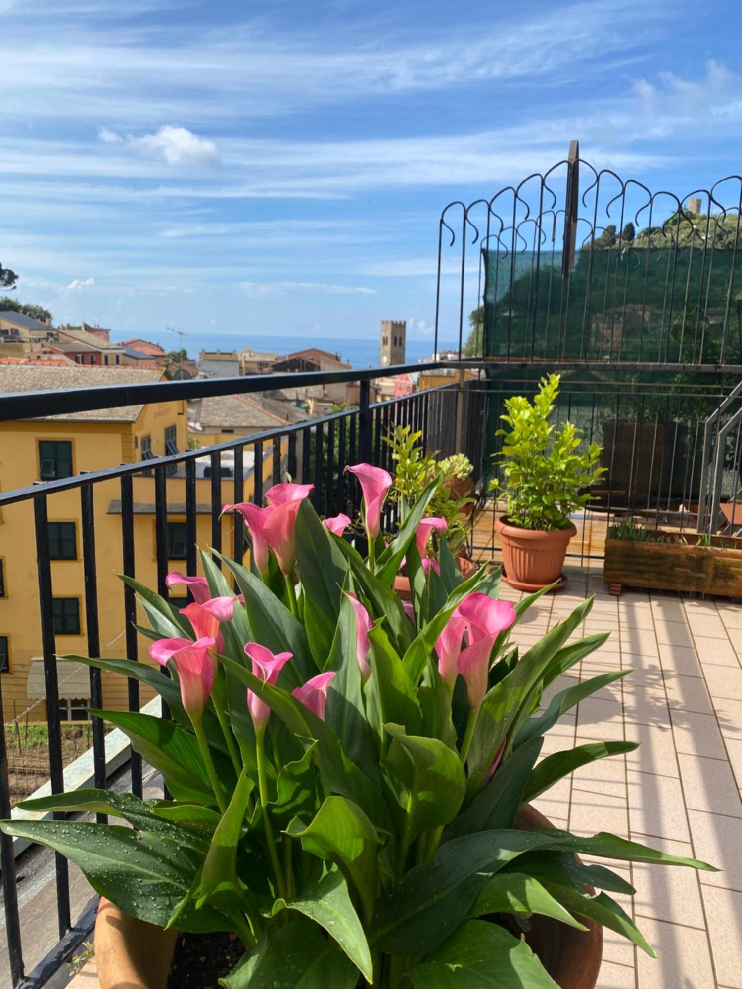 La Terrazza Di Monterosso Apartment Monterosso al Mare Ngoại thất bức ảnh