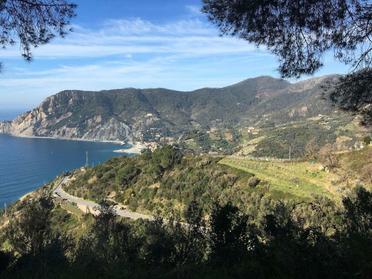 La Terrazza Di Monterosso Apartment Monterosso al Mare Ngoại thất bức ảnh