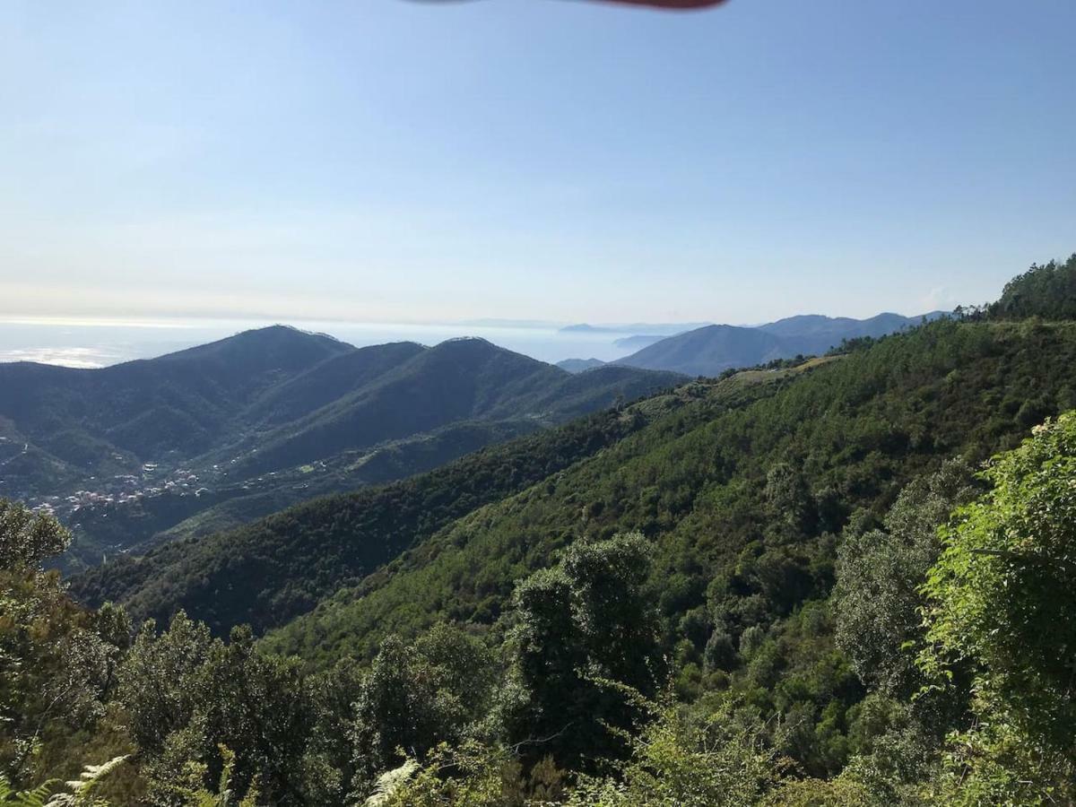 La Terrazza Di Monterosso Apartment Monterosso al Mare Ngoại thất bức ảnh